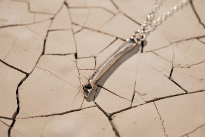 Silver Bone Necklace Laying on Cracked Desert Earth