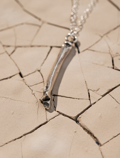 Silver Bone Necklace Laying on Cracked Desert Earth