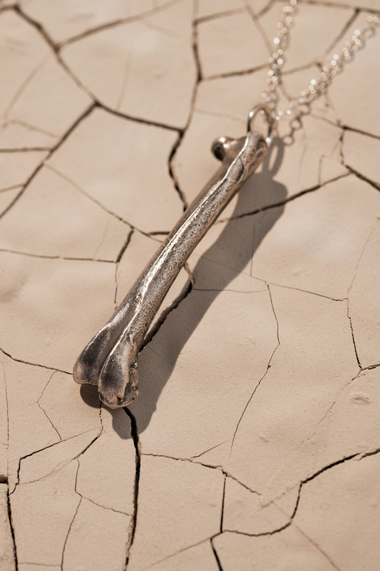 Silver Bone Necklace Laying on Cracked Desert Earth