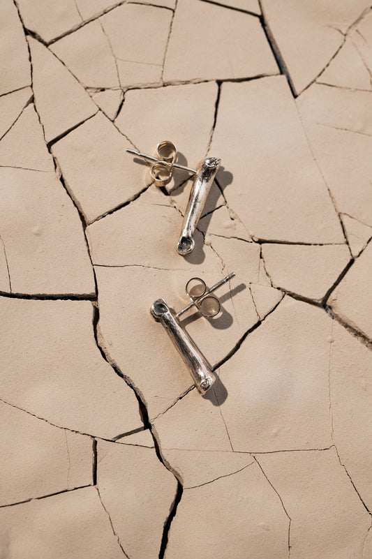 Silver Bone Studs Laying on Cracked Desert Earth