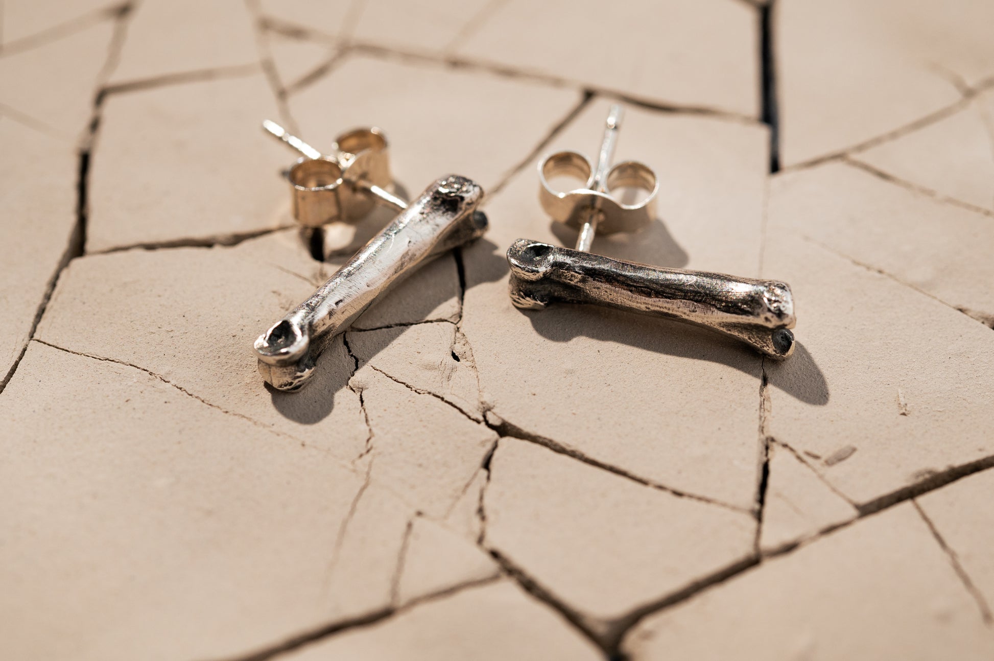 Silver Bone Studs Laying on Cracked Desert Earth