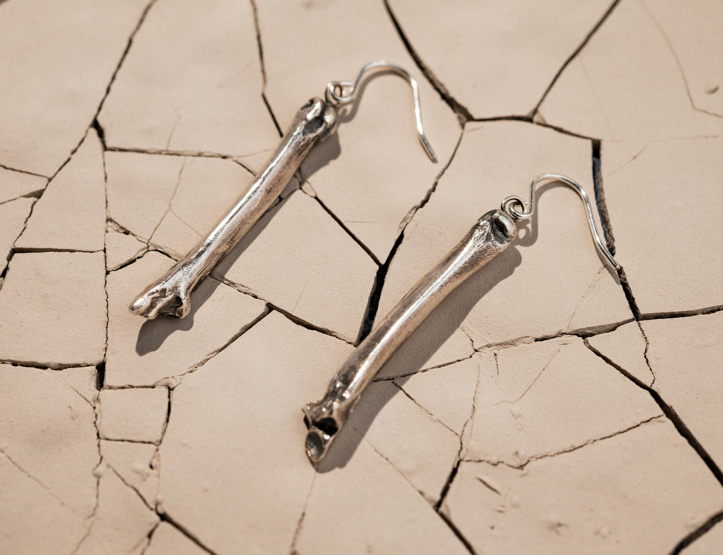 Silver Bone Dangly Earrings Laying on Cracked Desert Earth